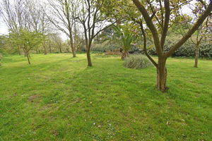 - click for photo gallery